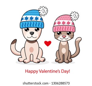 Cat and dog in winter knitted hats with heart. Valentines day cartoon card.