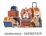 Cat and dogs inside pet carriers with suitcases at the background flat vector illustration isolated on white. Traveling with pet.