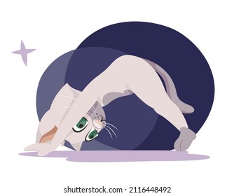 Cat doing yoga. Anthropomorphic animal in cartoon style