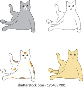 The cat doing yoga exercise