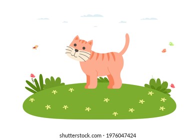 Cat. Domestic and farm animal. Ginger cat walks on the lawn. Mammal of the feline family of the order of predators. Vector illustration in cartoon flat style.