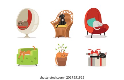 Cat Domestic Pet Sitting on Armchair and in Flowerpot Vector Set