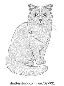 Cat doodle coloring book page for adults. Vector illustration isolated on white background.