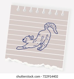 cat doodle drawing