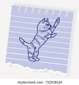 cat doodle drawing