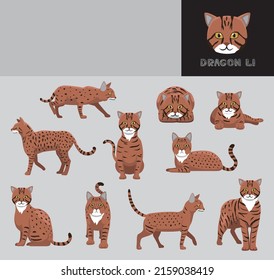 Cat Dragon Li Cartoon Vector Illustration Color Variation Set