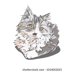 cat 
cat drawing, can be used for wallpaper, pattern fills, textile, web page background, surface textures, Image for advertising booklets, banner