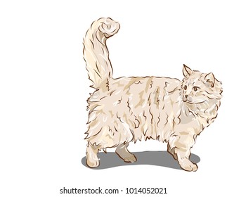 cat 
cat drawing, can be used for wallpaper, pattern fills, textile, web page background, surface textures, Image for advertising booklets, banner