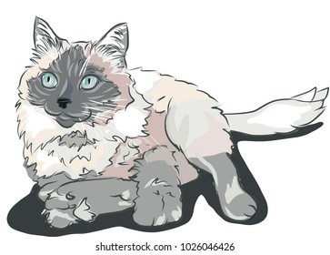 cat, Cat Drawing. Can be used for wallpaper, pattern fills, textile, web page background, surface textures, Image for advertising booklets, banners.