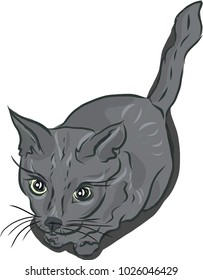 cat, Cat Drawing. Can be used for wallpaper, pattern fills, textile, web page background, surface textures, Image for advertising booklets, banners.