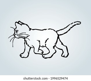 Cat drawing for children's illustrations posing