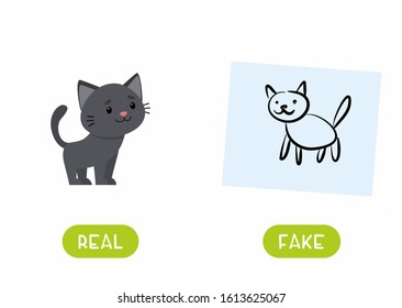 Cat drawing  and cat real illustration with typography. Real and fake antonyms word card vector template. Flashcard for english language learning with flat character. Opposites concept. 