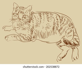 Cat drawing, simple vector sketch.