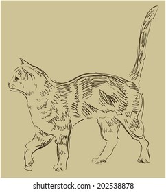 Cat drawing, simple vector sketch.
