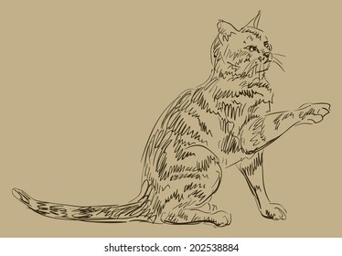 Cat drawing, simple vector sketch.