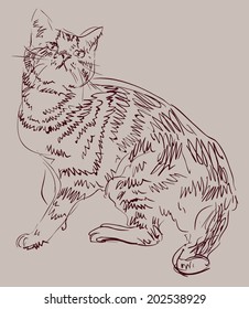 Cat drawing, simple vector sketch.