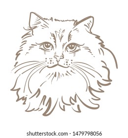 Cat drawing in sketch style on white background. Vector image of the cartoon. Illustration of a domestic cat. Silhouette symbol. Cute cartoon pet