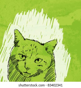 cat drawing vector on grunge background