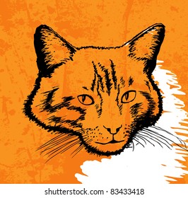 cat drawing vector on grunge background