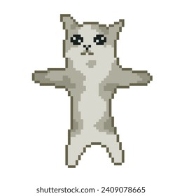 Cat drawing, viral meme pixel art