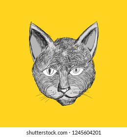 cat drawing yellow background
