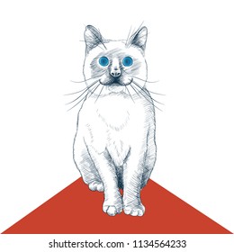 Cat drawings for print works