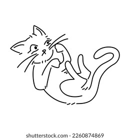 cat drawn with black line on a white background. Vector isolated animal for stickers, emoji, decor, cards, patterns. Stylized pet