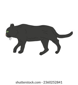 Cat is drawn in a goes position. Cat black. Design of a banner, poster, pet store and pet supplies. Vector flat illustration.