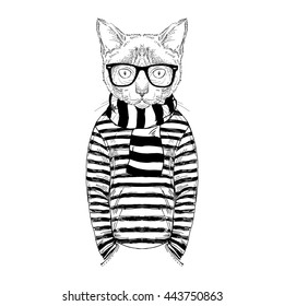 cat dressed up in frock, furry art illustration, fashion animals