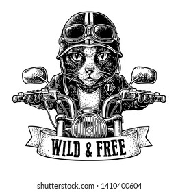 Cat dressed in the helmet and glasses driving a motorcycle rides. Vector hand drawn vintage engraving. Isolated on white background. For poster and t-shirt biker club. WILD & FREE lettering.