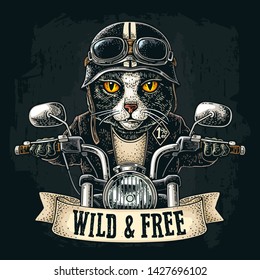 Cat dressed in the helmet and glasses driving a motorcycle rides. Vector hand drawn vintage engraving. Isolated on white background. For poster and t-shirt biker club. WILD & FREE lettering.