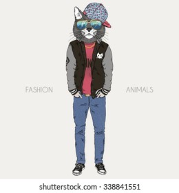 cat dressed up in hip hop style, furry art illustration