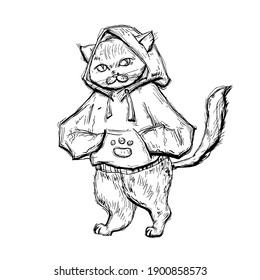 Cat dressed in the hoodie. Vintage monochrome vector hatching illustration isolated on white background. Hand drawn design element for t-shirt, poster and web