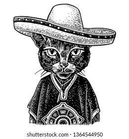 Cat dressed in the poncho, sombrero. Vintage black engraving illustration. Isolated on white background. Hand drawn design element for poster