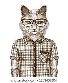 Cat dressed up. Hipster fashion concept. Sketch vintage vector illustration