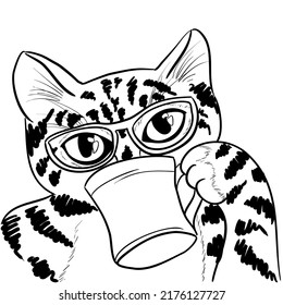 A cat drinking from a mug. Funny black and white illustration coloring book with a bengal cat with glasses.