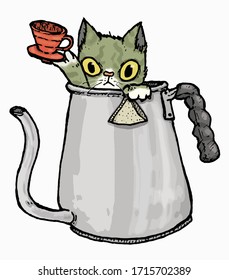 the cat in drip kettle 