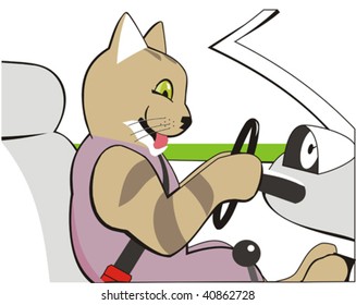 The cat drives the car.