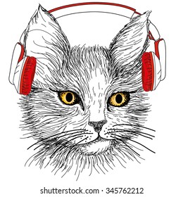 Gato con auriculares