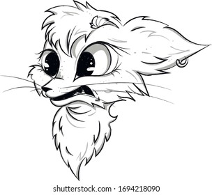  Cat with earring in its ear. Charming big eyed kitten.