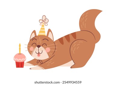 Cat eating birthday cake dessert