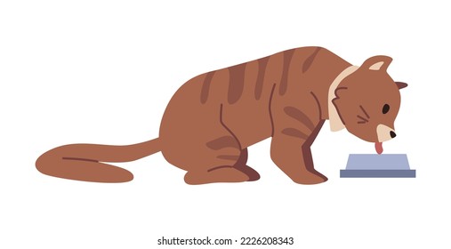 Cat eating or drinking water from bowl, isolated kitten feline animal leisure and every day life. Kitty domestic pet nourishment. Vector in flat style