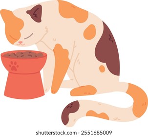 Cat eating food. Pet bowl. Animal feeding isolated on white background