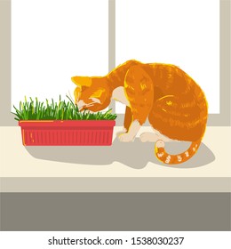 Cat eating grass sitting on a window on a windowsill at home. Red color kitten. concept sunny hand drawing style vector illustration.