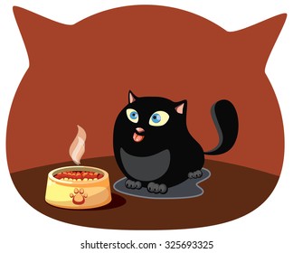 Cat eating his food. Fat cat.