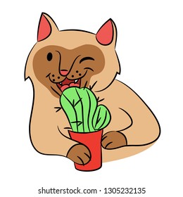 cat eats cactus