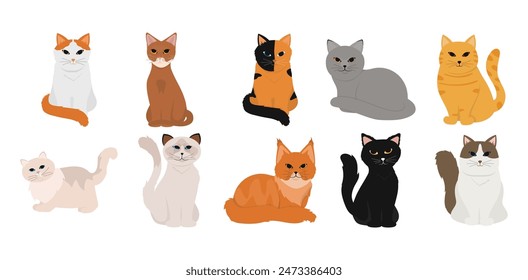 Cat Element Vector Collection Set