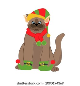 Cat in elf christmas hat with scarf. Merry Christmas and Happy New Year greeting card.