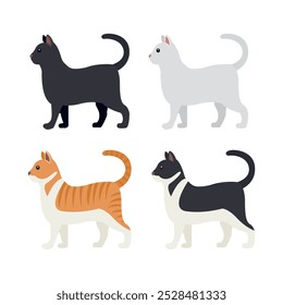 Cat emoji animal vector cute illustration kitten