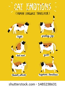 Cat emotion infographics poster. Сat body language is clearly shown. 
Emotions of cats (fright, greeting, joy, bad mood, guilt, threat, attack, happiness, friendliness). 6 cat on yellow background.